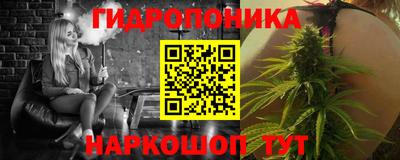 гашик Боровичи
