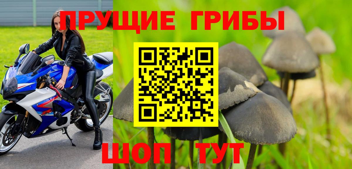 Псилоцибиновые грибы Psilocybe  Псилоцибиновые грибы ЛСД  Вход с VPN  Серпухов 